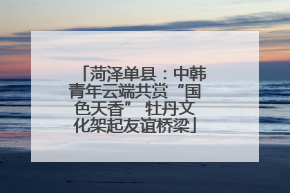 菏泽单县：中韩青年云端共赏“国色天香” 牡丹文化架起友谊桥梁